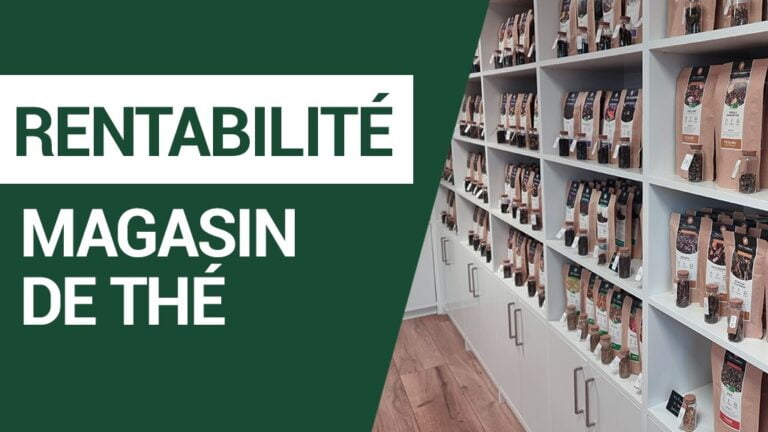 rentabilite magasin the