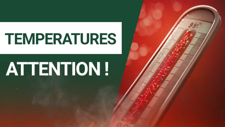 temperature conservation the