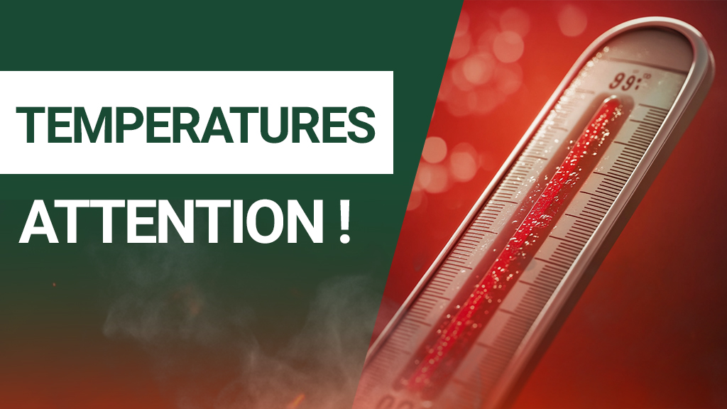 temperature conservation the