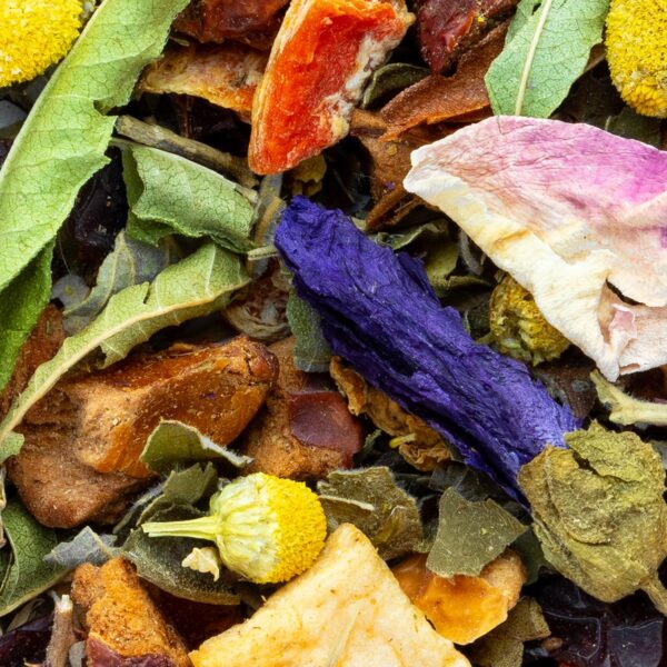 Tisane Sureau & Compagnie Saveur Sureau par Made in Thé - Vue zoomée