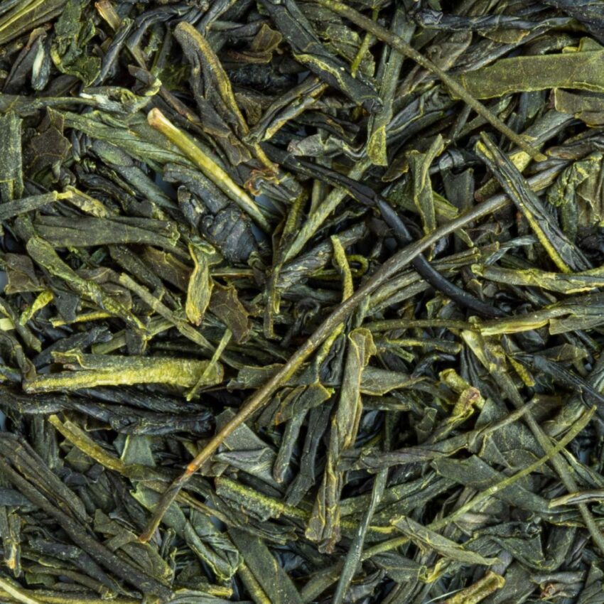 Thé Vert Japan Premium Sencha Konomi Bio par Made in Thé - Vue zoomée