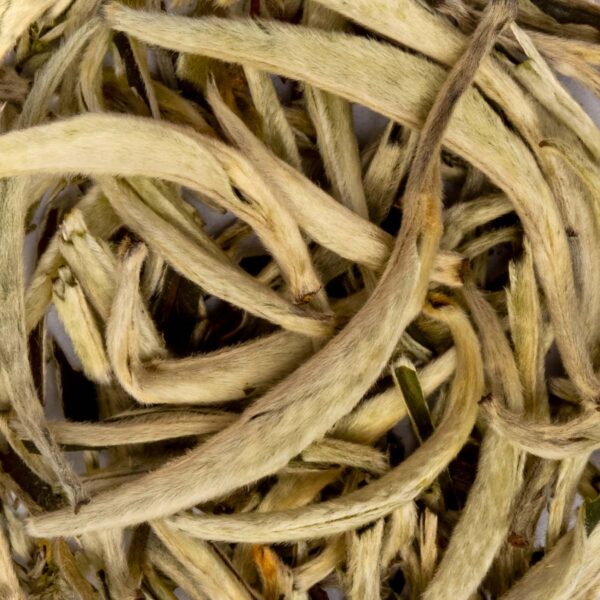 Thé Blanc Yin Zhen Silverneedle Bio en vrac par Made in Thé - Vue zoomée