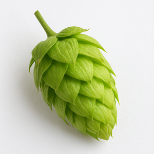 Fleur de houblon