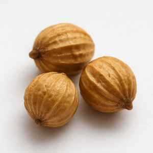 Graine de coriandre