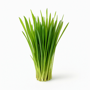 Herbe de blé