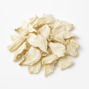 Hibiscus blanc