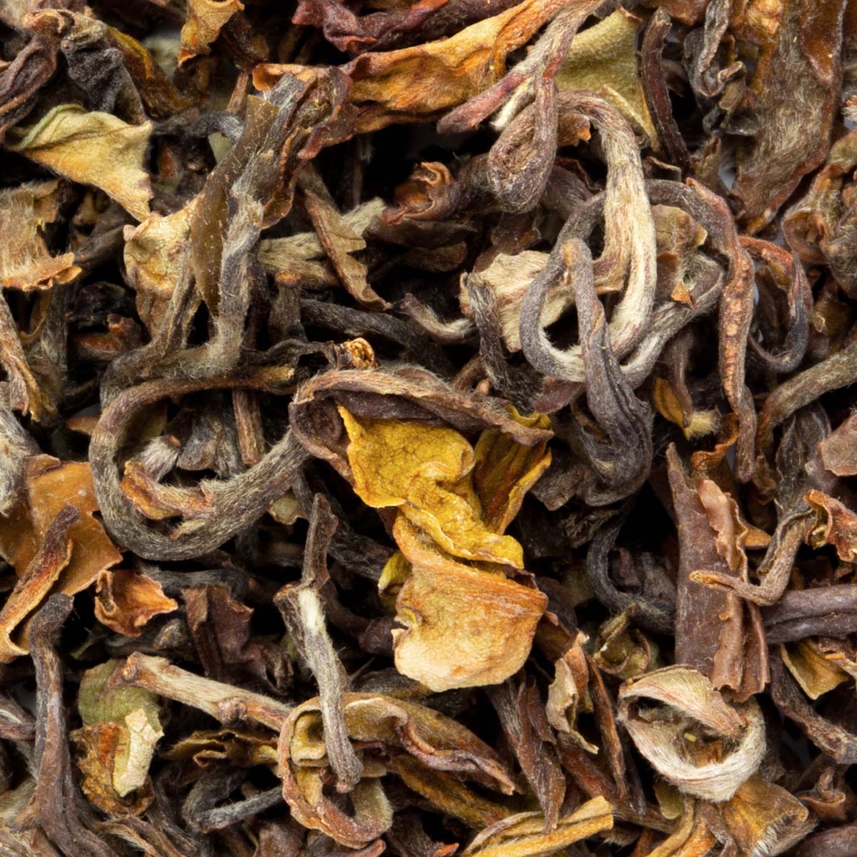 Thé Oolong Nepal 1st Flush Jun Chiyabari Bio (première récolte) par Made in Thé - Vue zoomée