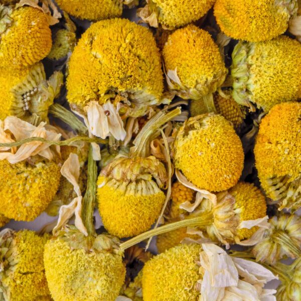 Camomille Bio par Made in Thé - Vue zoomée