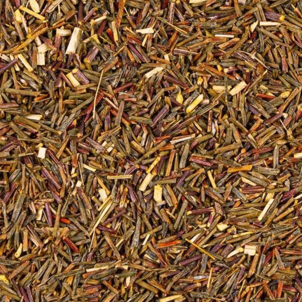Rooibos non fermenté