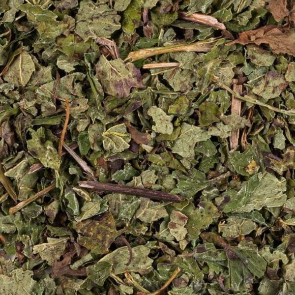 Menthe Poivrée vrac bio